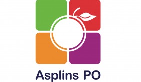 Asplins PO Ltd