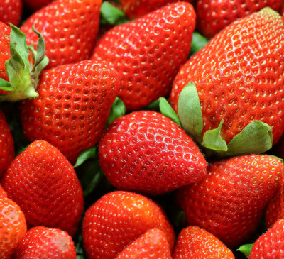 Eight Percent Drop in Strawberry Plants for 2024 Signals Urgent Need for Fairer Returns for Growers
