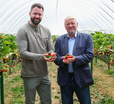 ​​​​​​​Berry industry being squeezed: Rising costs and retail pressures could put 40 percent of growers at risk of going out of business by 2026. 