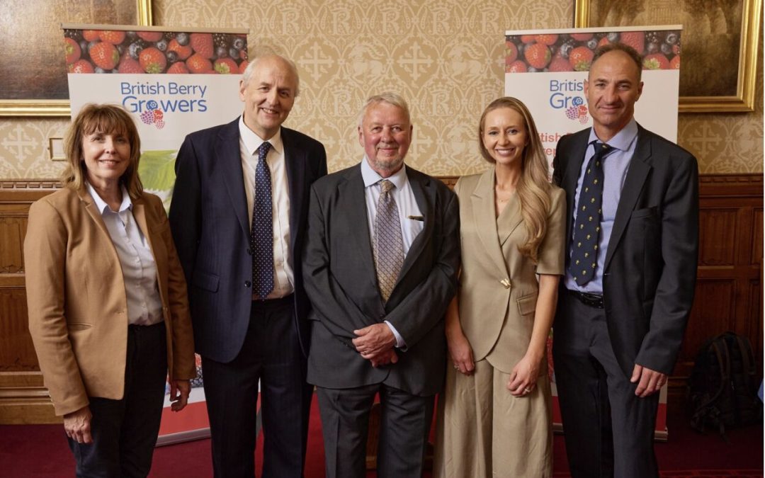 British Berry Growers calls on government and retailers to step up