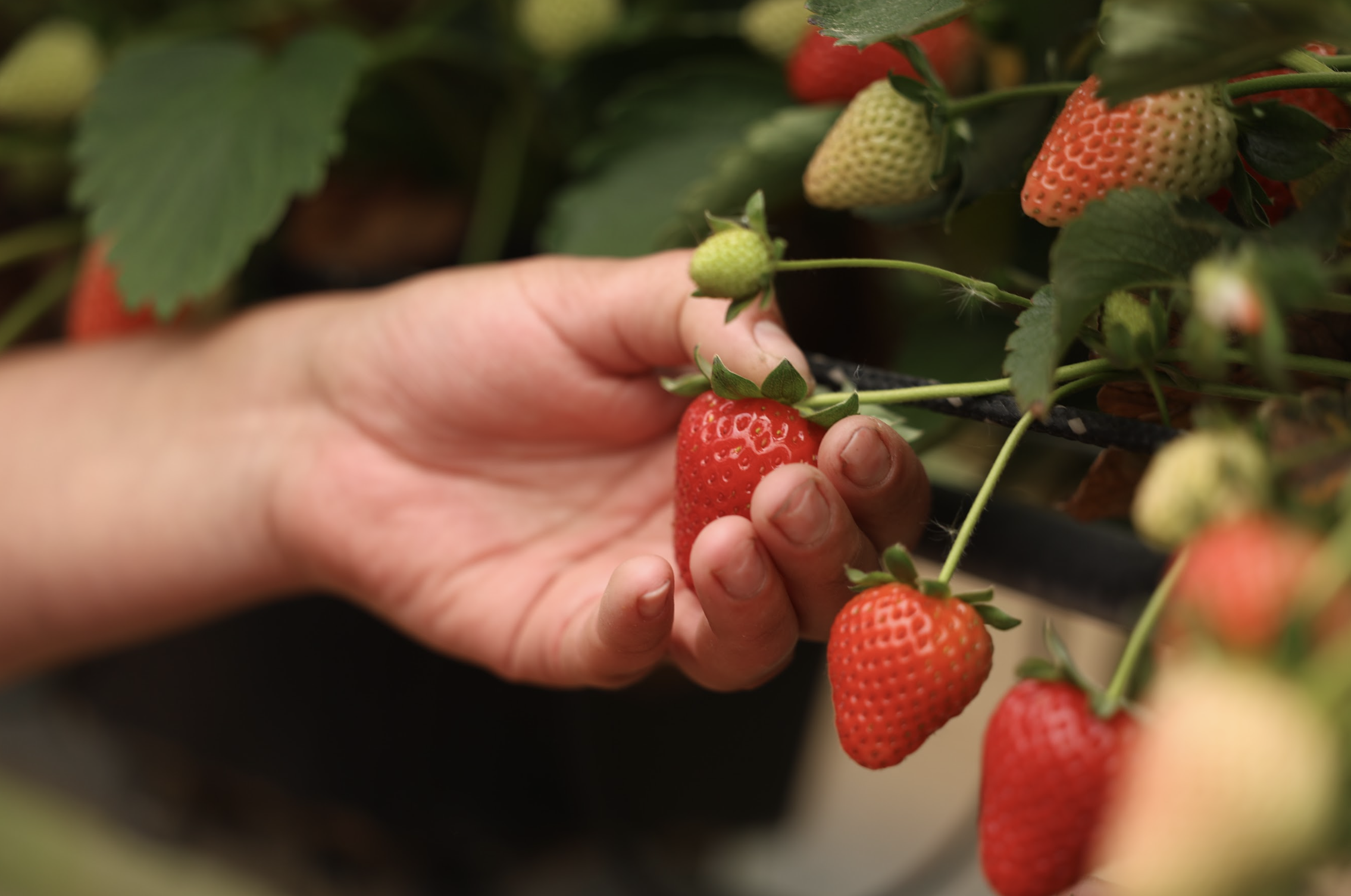 Screenshot 2025-07-22 at 12.57.53