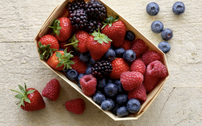 UK berry growers say drought investment is working – but barriers to water storage must go